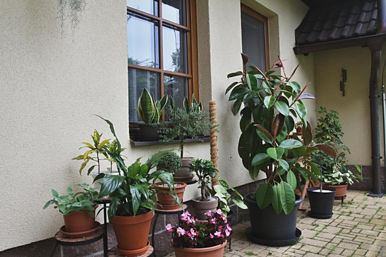 Ubytovani Zdarske Vrchy Světnov Esterno foto